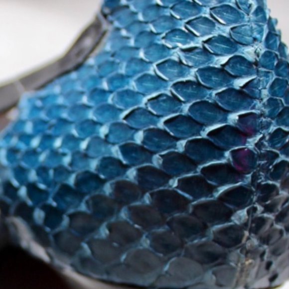 Alain Tondowski Heals- Blue Snakeskin - Picture 7 of 9